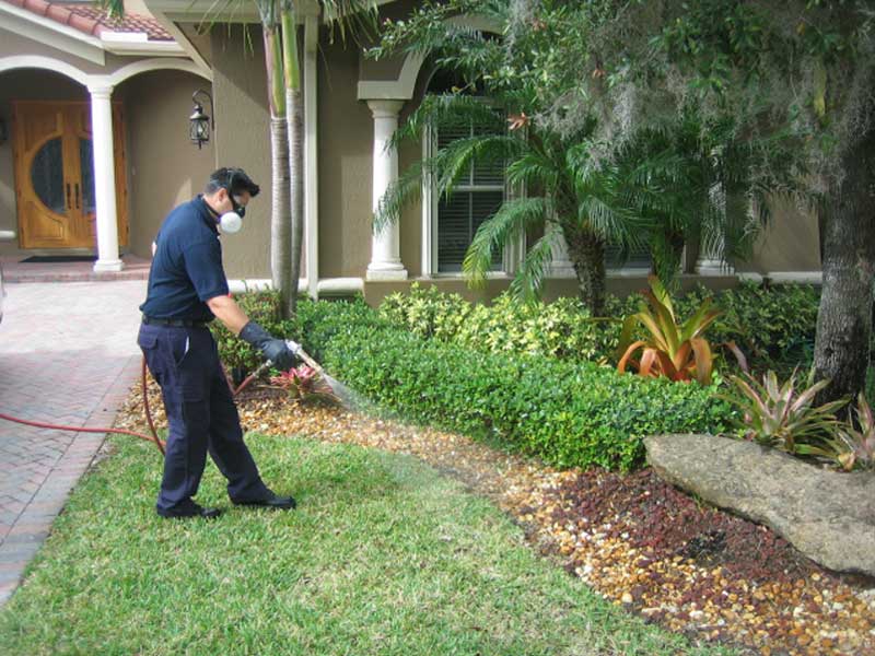 Pest Control Services Miami, FL