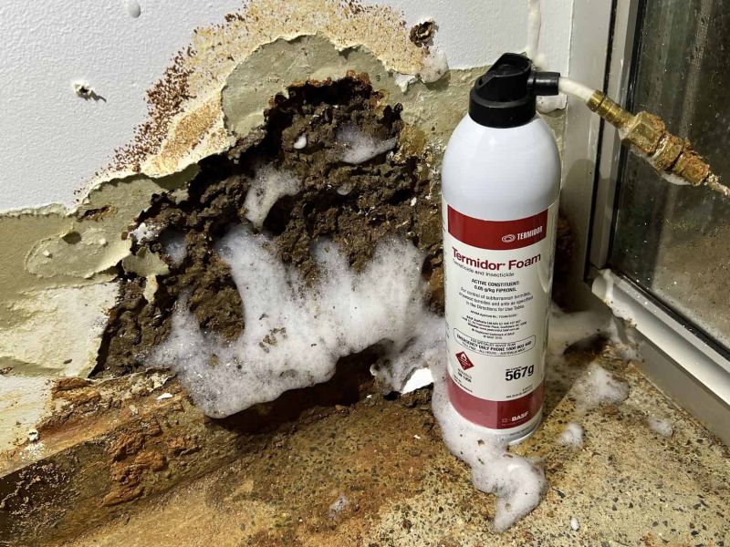 Termite Spot Treatments Miami, FL